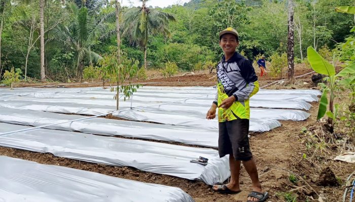Jejak Santri di Atas Lahan KAI: Cara Hasbulloh Memanen Berkah dari Cabai